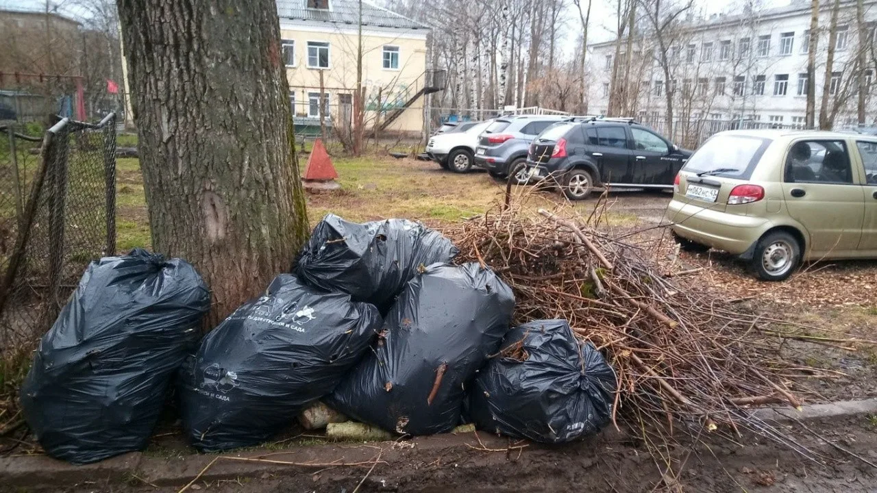 Вывоз мусора после субботника в Сочи от ПроМусор – уборка и утилизация отходов от 2429 руб