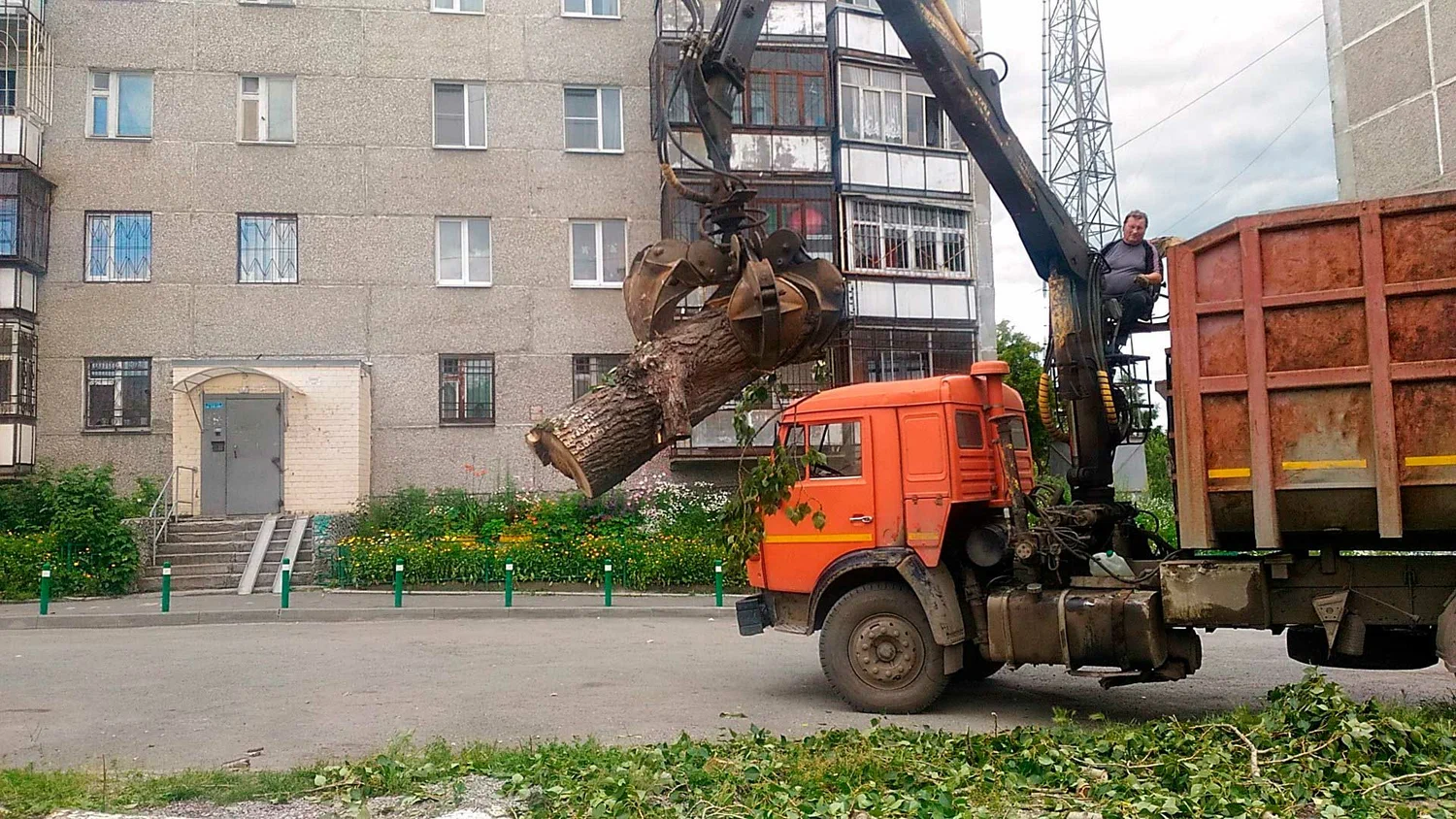 Вывоз спиленных веток и деревьев в Сочи от ПроМусор: порубочные остатки, утилизация, цена от 2997 руб