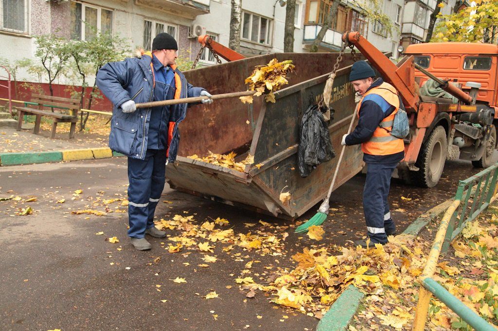Вывоз опавшей листвы и растительного мусора в Сочи от ПроМусор – цена от 4651 руб., быстрая уборка и утилизация